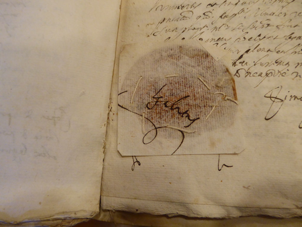 seal in book